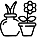 گل و گیاه