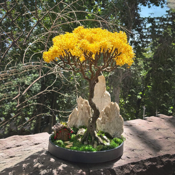بنسای عروس زرد